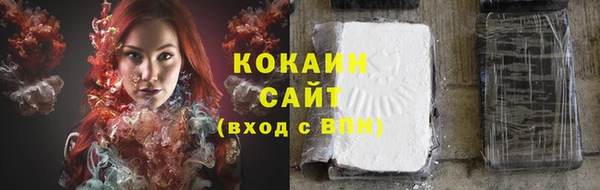 мяу мяу мука Баксан