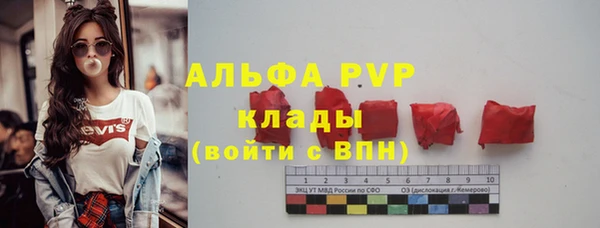 мяу мяу мука Баксан