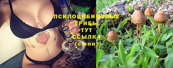 мяу мяу мука Баксан