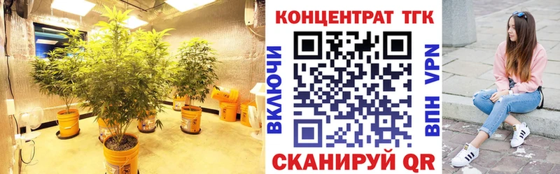 Купить где  Дорогобуж  Дистиллят ТГК THC oil 