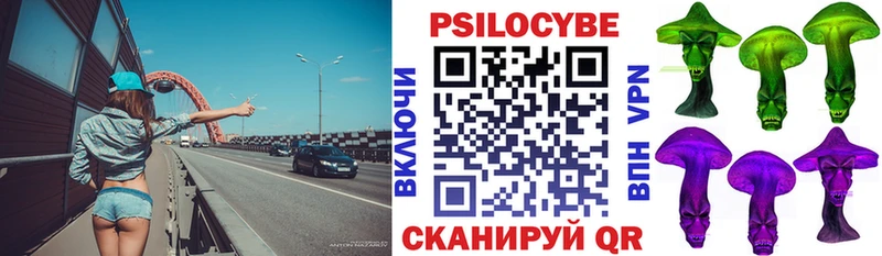 Галлюциногенные грибы Psilocybe Купить где Дорогобуж